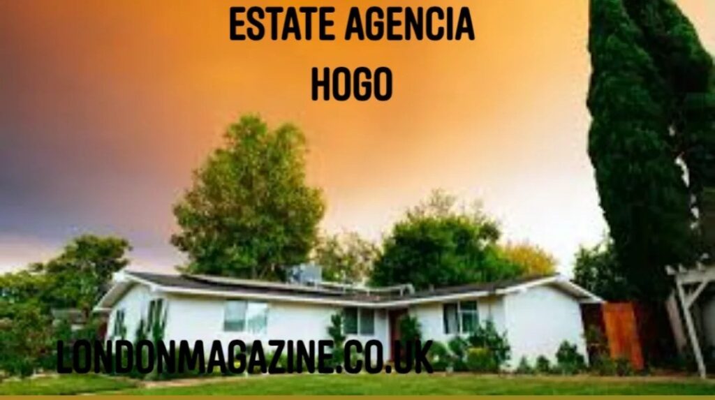 estate agencia hogo