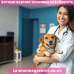 ветеринарная клиника vetcitypets