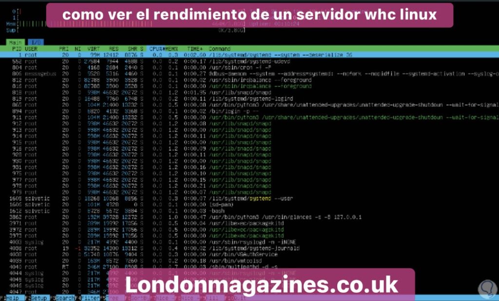 como ver el rendimiento de un servidor whc linux