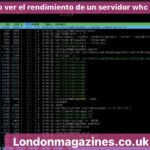 como ver el rendimiento de un servidor whc linux